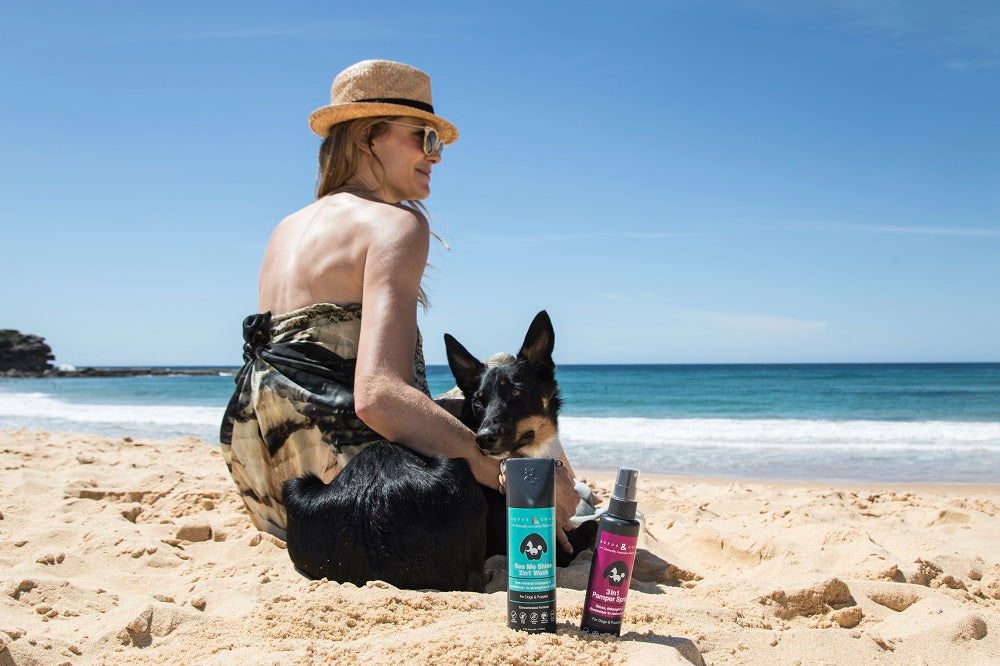 Is human shampoo safe fur your little mate?