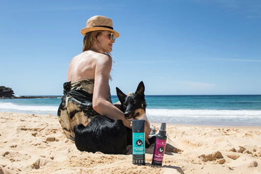 Is human shampoo safe fur your little mate?