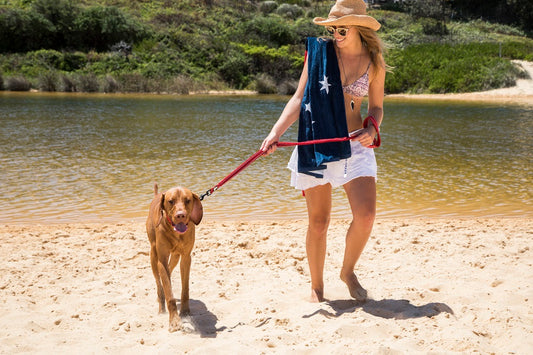 How to choose a pet-friendly holiday
