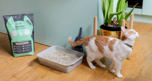 Stop littering with your cat’s litter