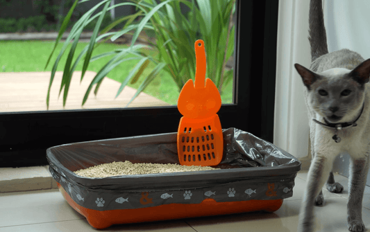 Get hooked on the purrfect litter scoop!