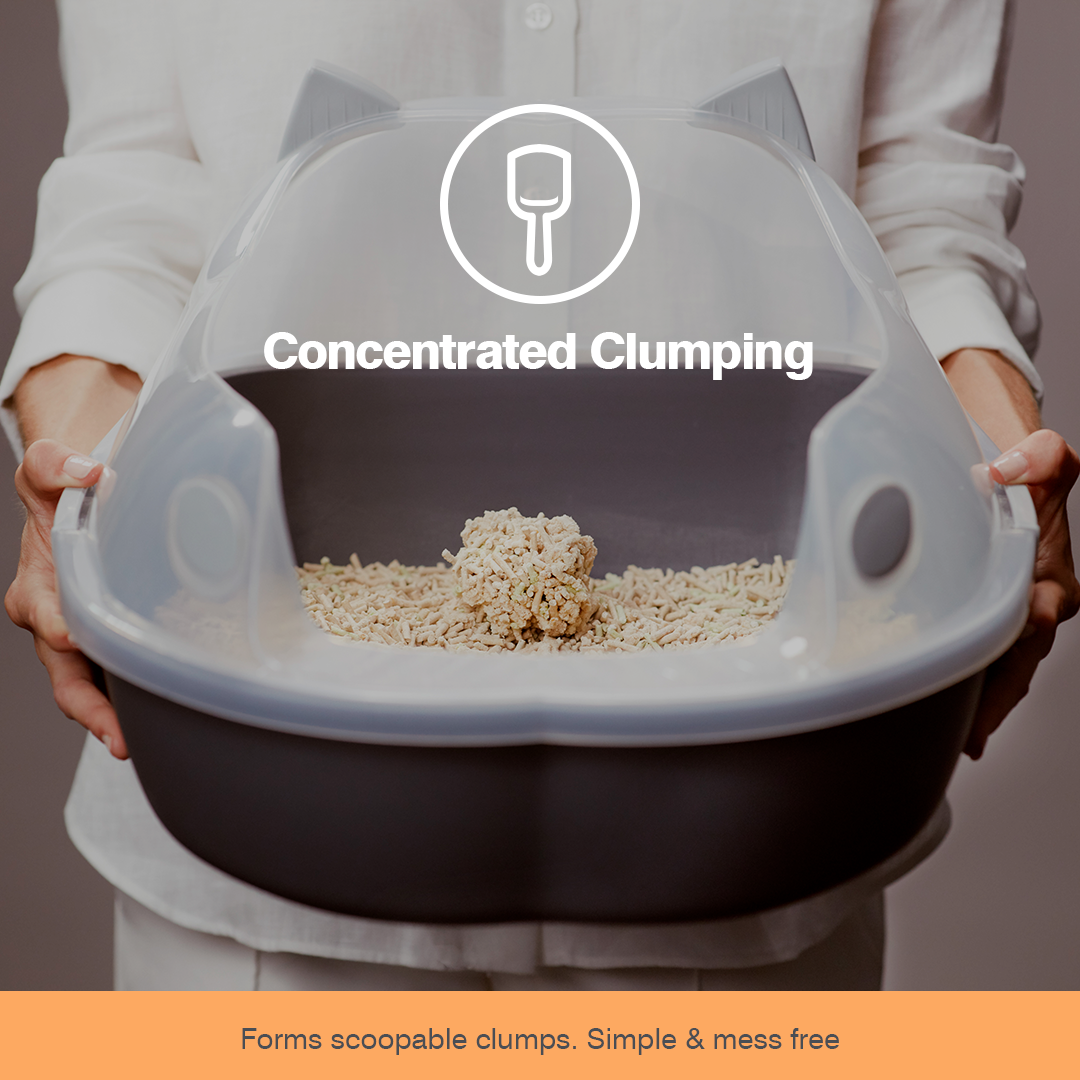 Rufus & coco wee top kitty clumping corn litter
